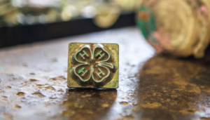 Cover photo for Pitt County 4-H Application / Nomination Forms
