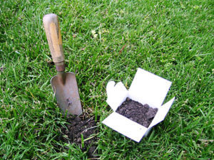 Cover photo for Soil Testing for Lawns and Garden