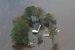 Flooded landscape