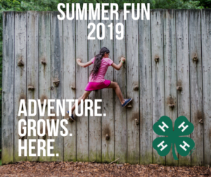 Cover photo for Pitt County 4-H Summer Fun 2019