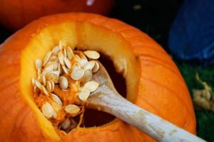 Cover photo for Drying Pumpkin Seeds