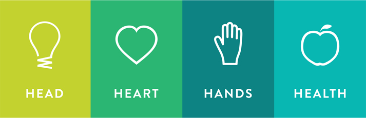 Head Heart Hands Health 