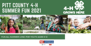 Cover photo for Pitt County 4-H Summer Fun 2021