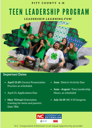Teen Leadership Program poster