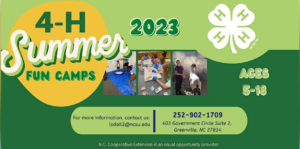 Cover photo for Pitt County 4-H Summer Fun 2023