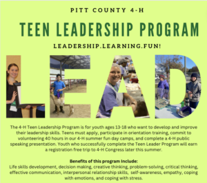 Cover photo for 4-H Teen Leadership Program: Summer 2024