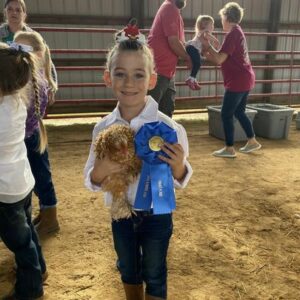 Cover photo for Youth Poultry & Rabbit Show at the Pitt County Fair